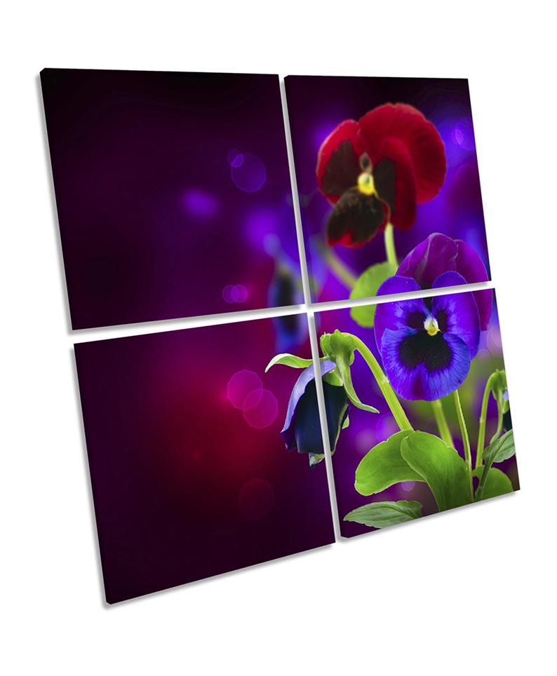 Purple Pansy Flowers Floral