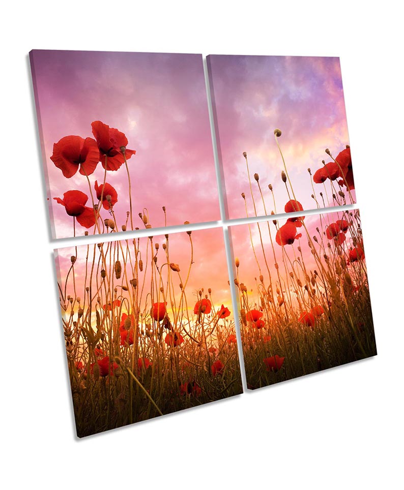 Red Poppies Sunset Floral