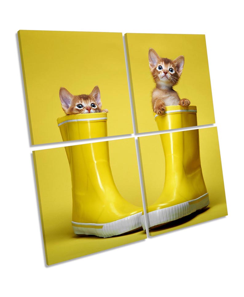 Cute Kitten Cats Wellies Yellow