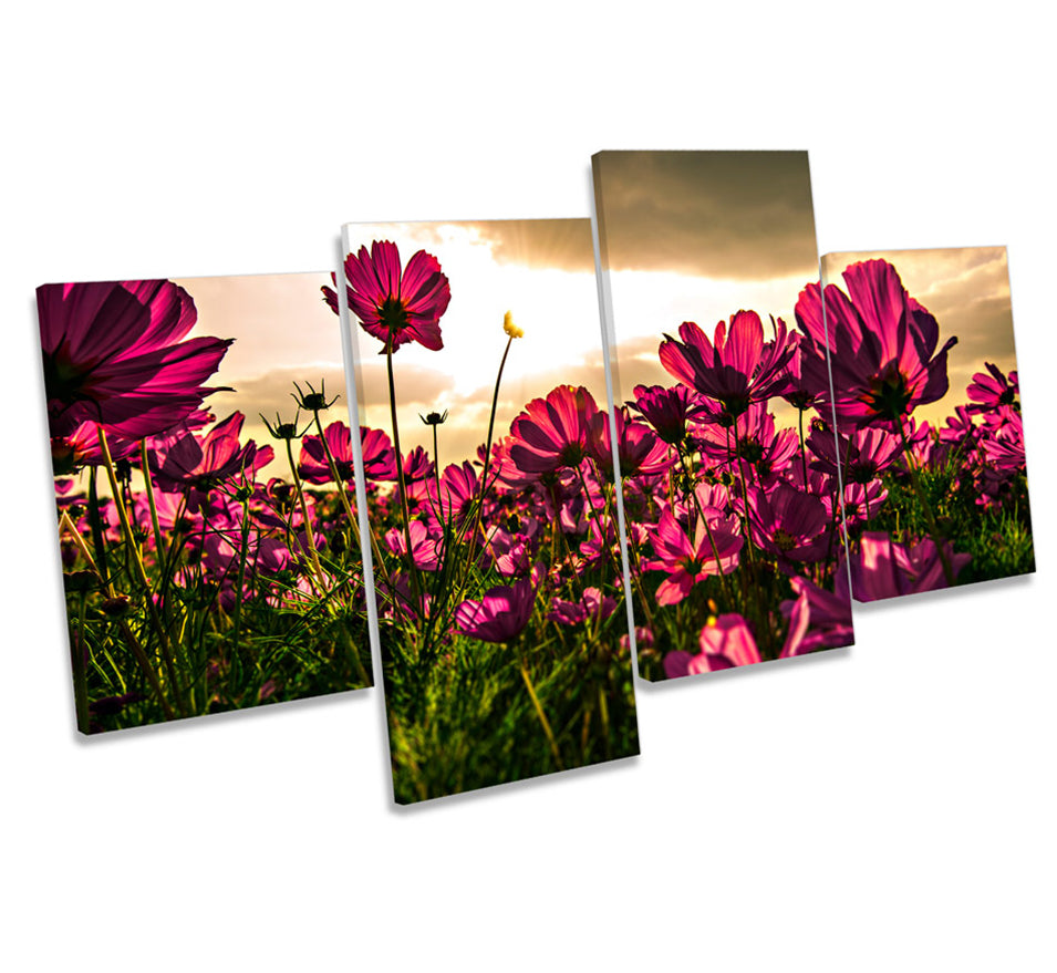 Flowers Sunset Floral