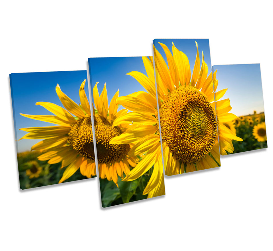 Sunflower Floral Scene