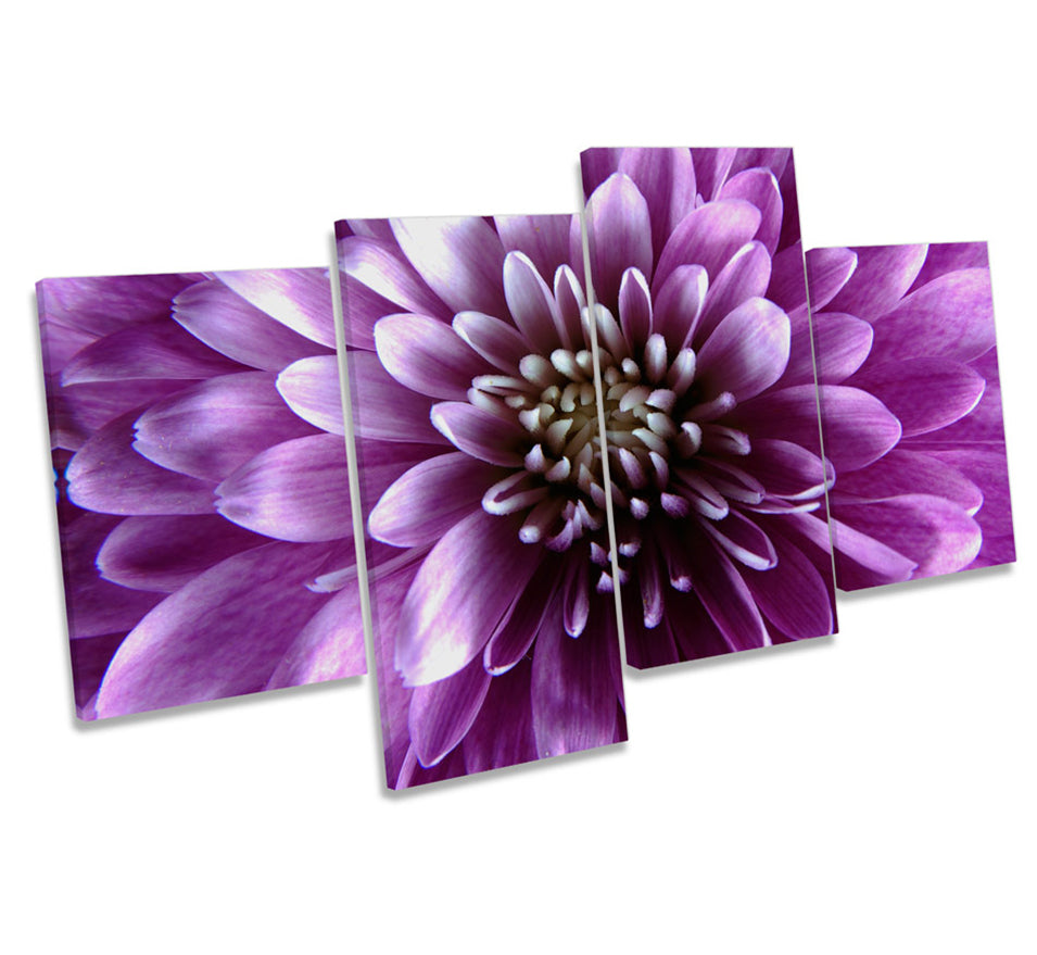 Purple Floral Flower