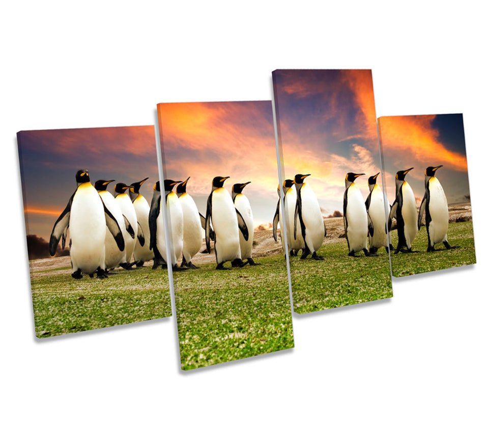 Penguins March Sunset