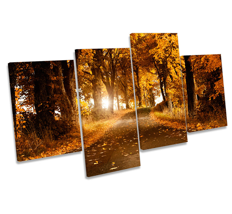 Autumn Orange Forest Trees