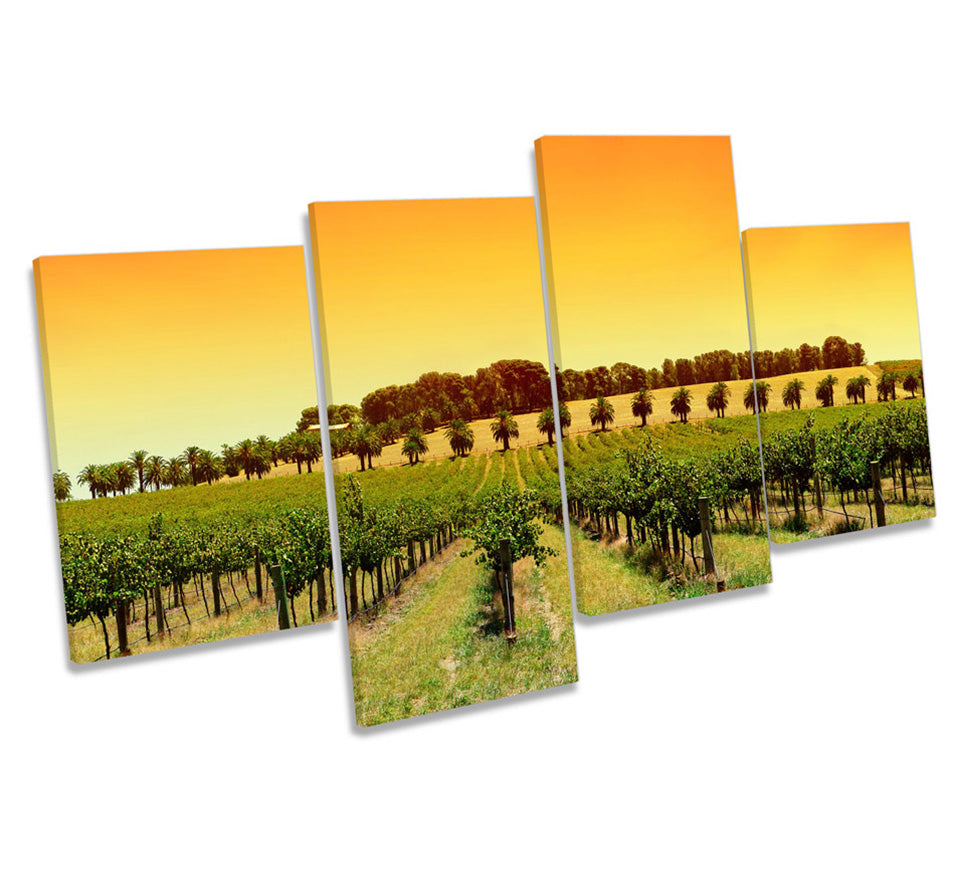 Orange Sunset Vineyard