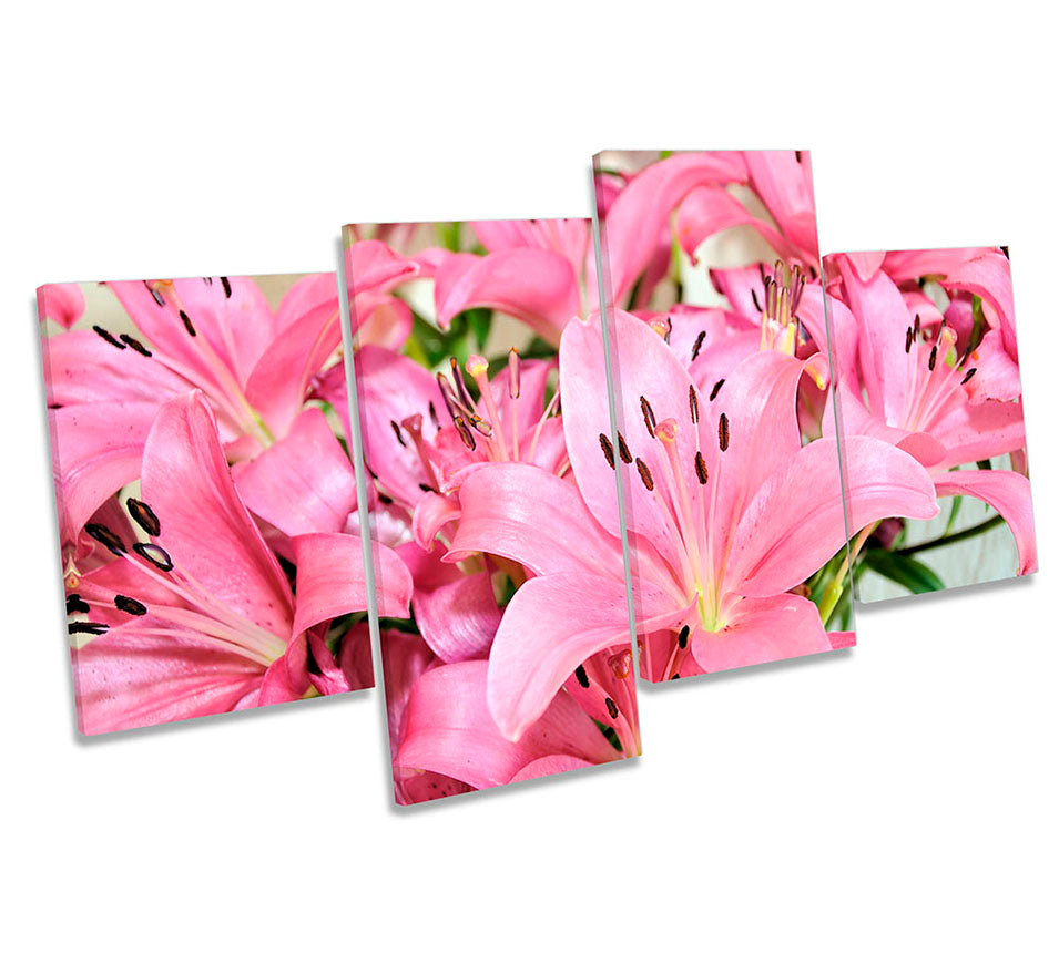 Pink Lily Flowers Floral