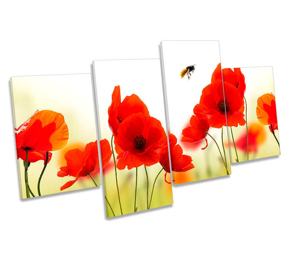 Red Poppies Bee Floral