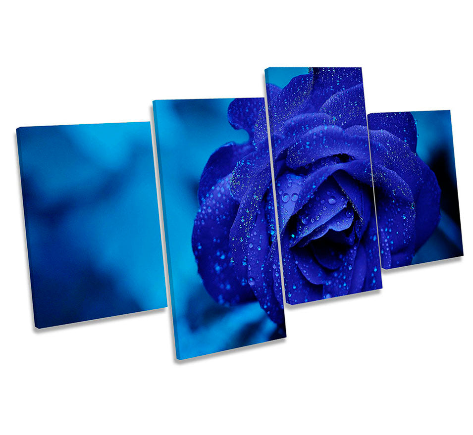 Blue Rose Floral Flower