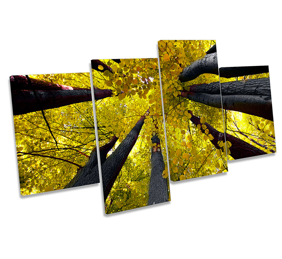 Yellow Tree Tops Floral