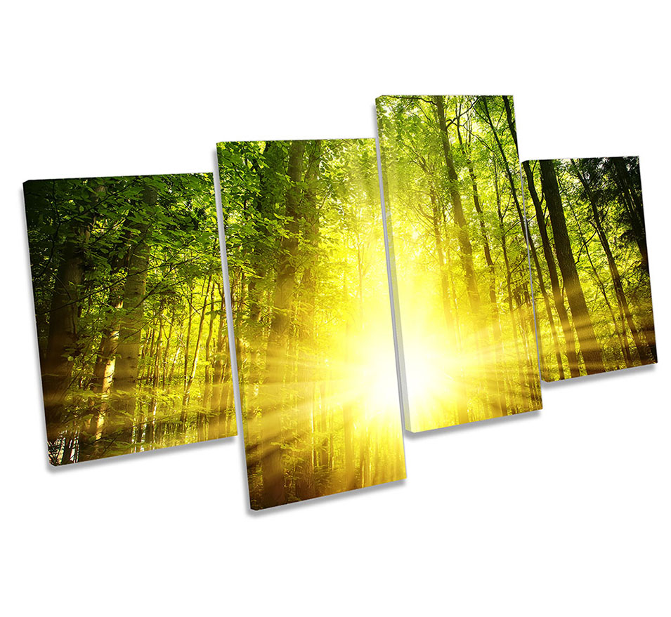 Green Forest Yellow Sunset