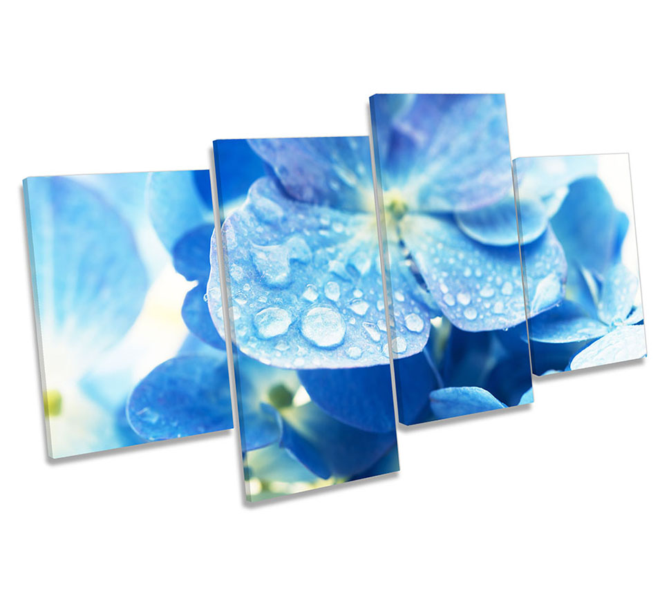 Blue Hortensia Flower Floral