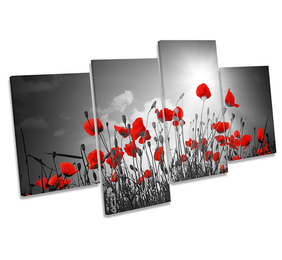 Red Poppy Flowers Floral Grey