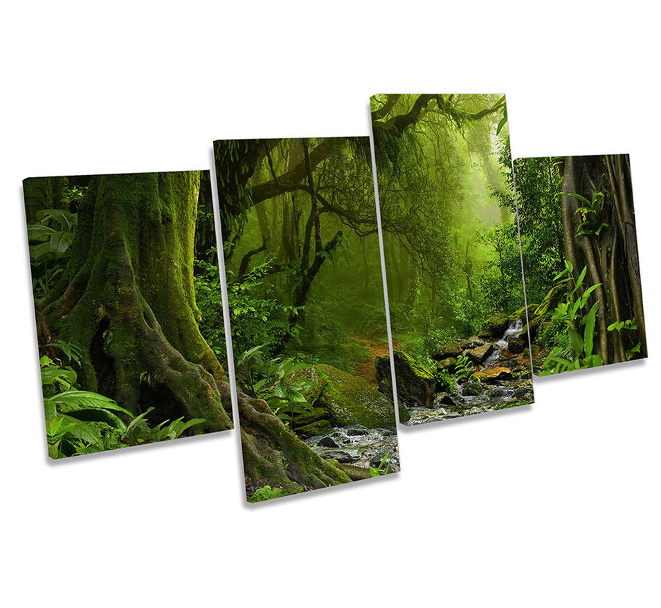 Rain Forest River Landscape Green