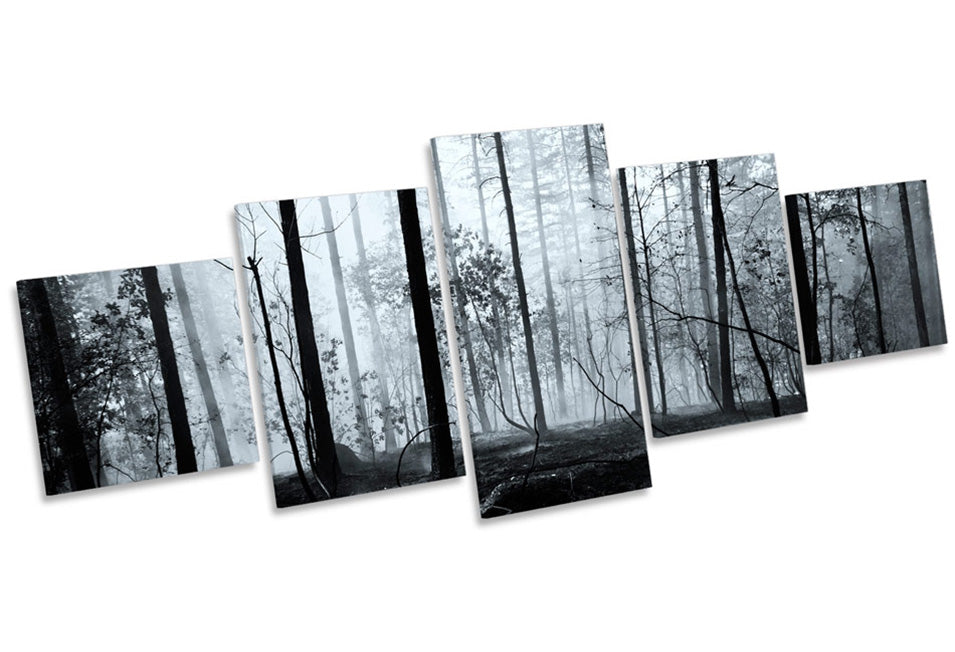 Dark Forest Misty Landscape Trees