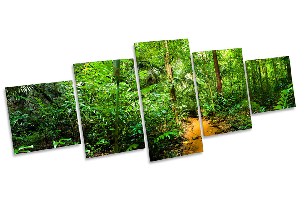 Green Jungle Rain Forest