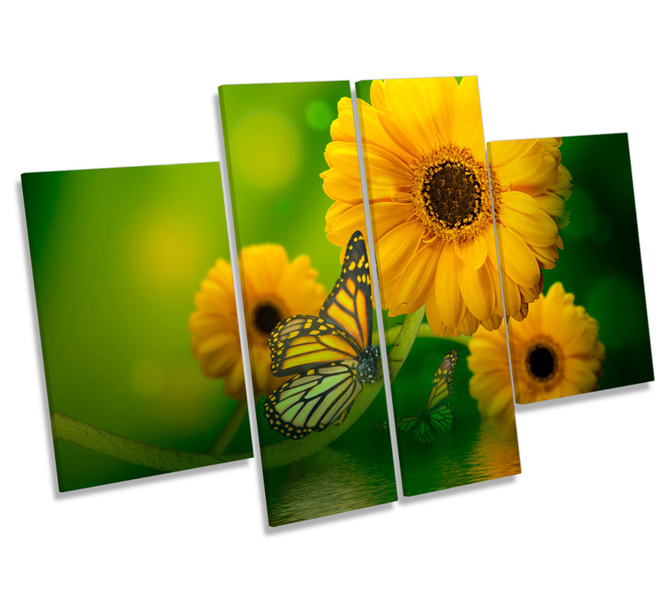Floral Butterfly Flowers