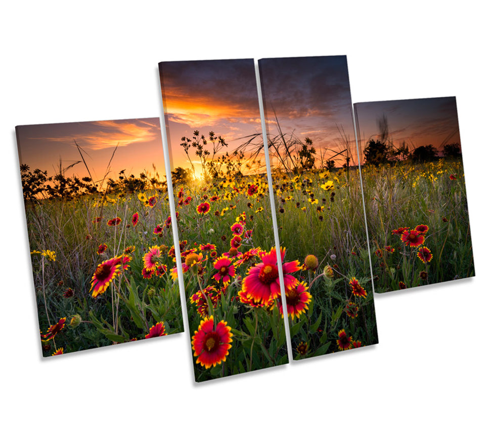 Sunset Wild Floral Flowers