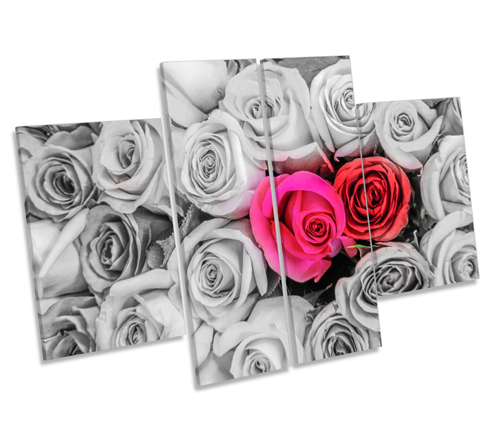 Roses Flowers Floral Love