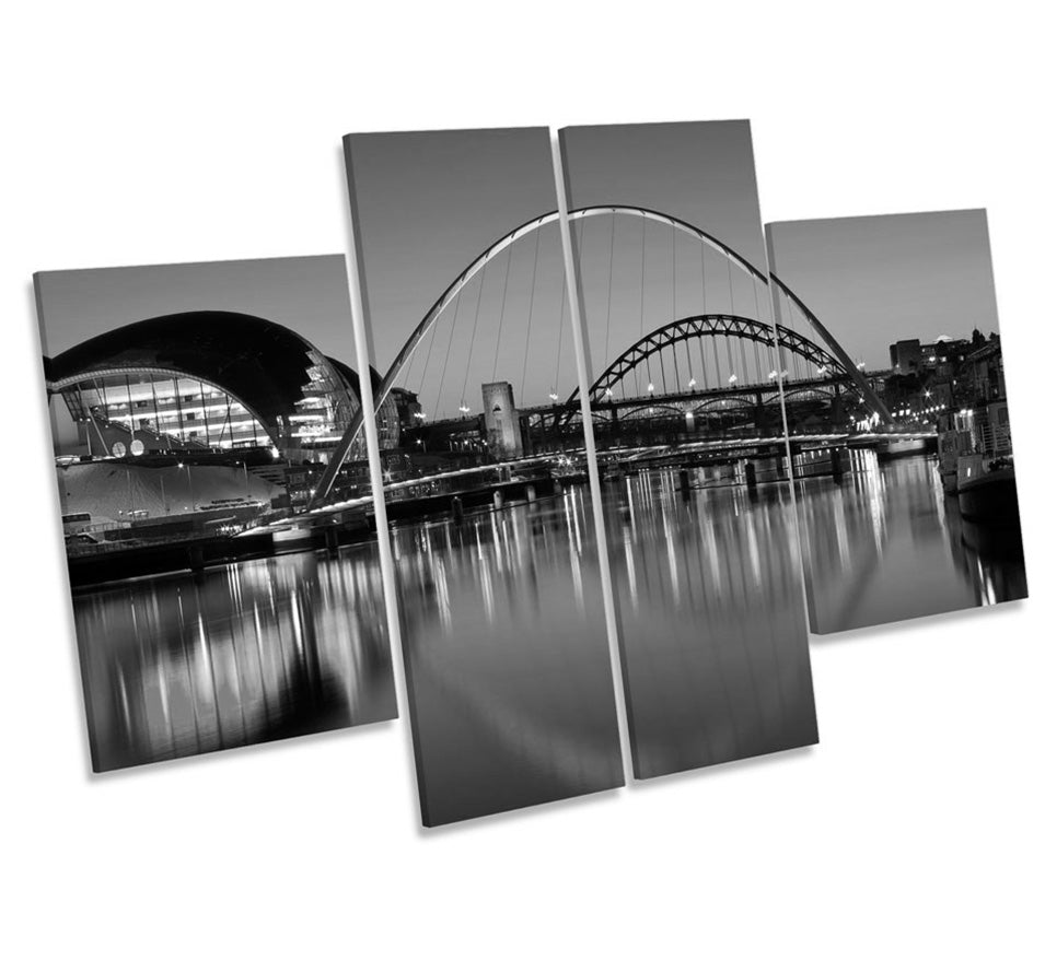 Newcastle Tyne Bridges River City B&W