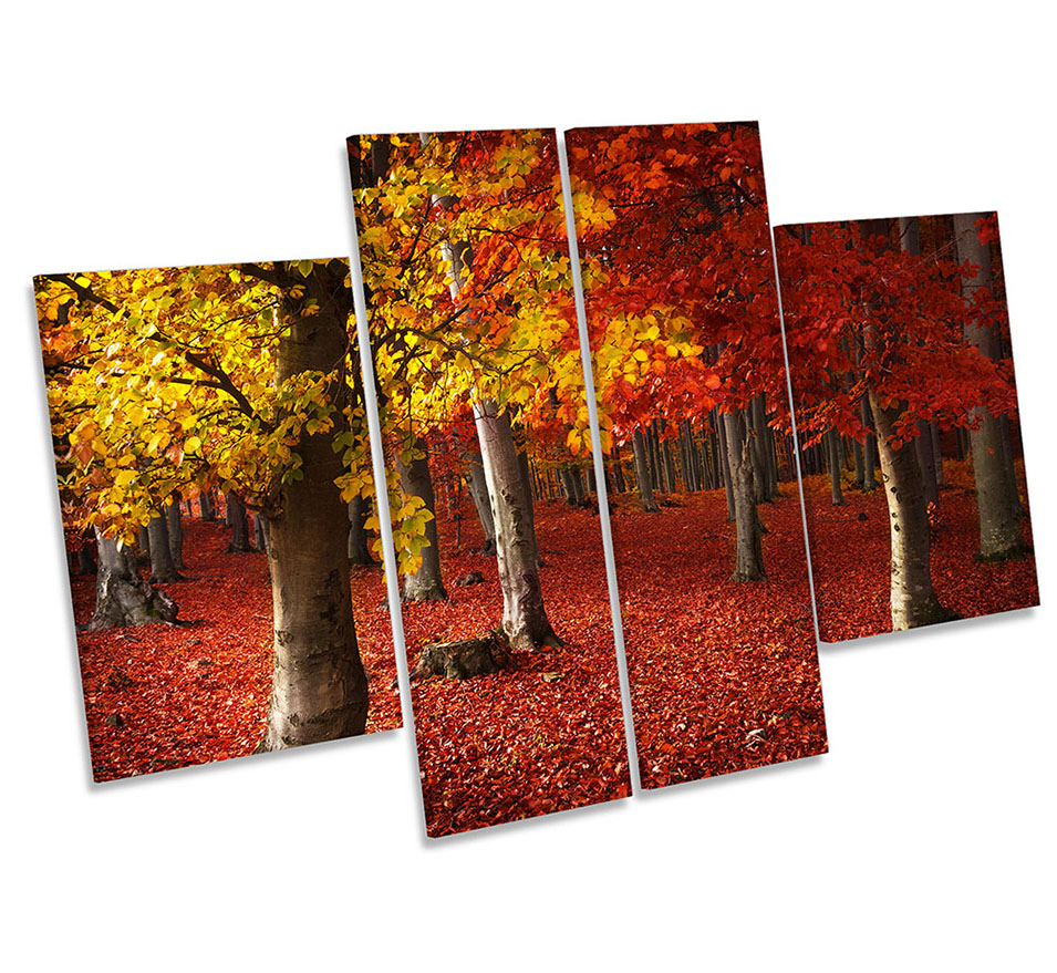 Autumn Forest Red Landscape