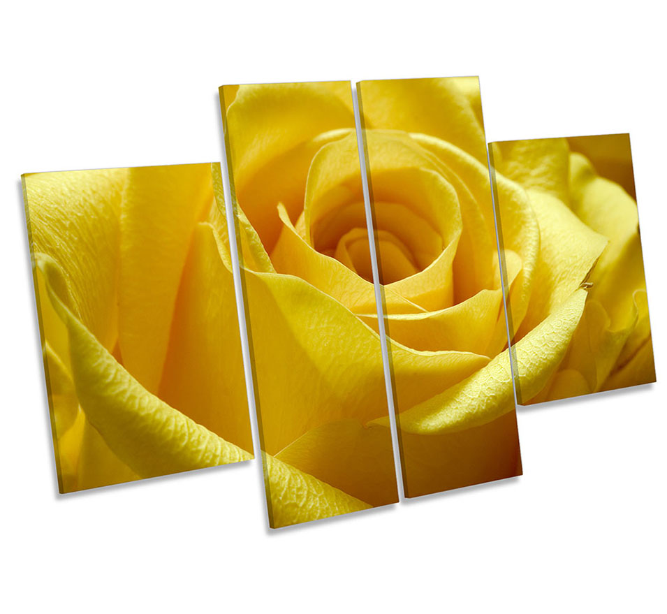 Yellow Rose Flower Floral