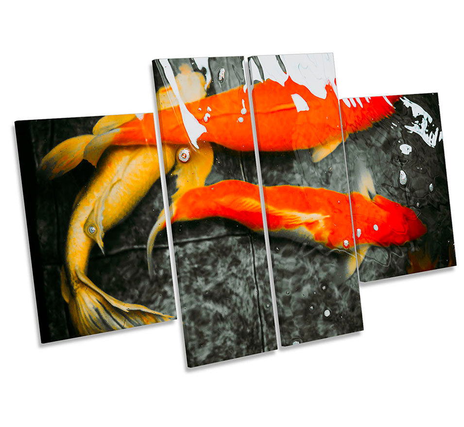 Koi Goldfish Abstract Fish