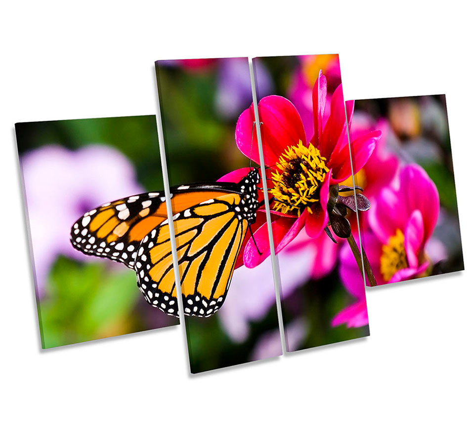Butterfly Flower Floral