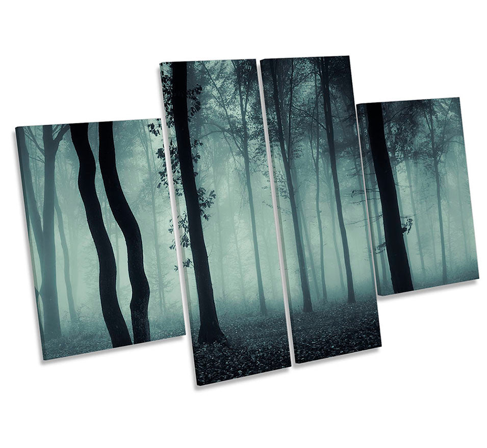 Dark Misty Forest Landscape