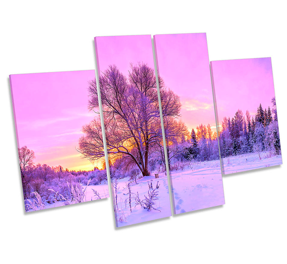 Purple Sunset Winter Landscape