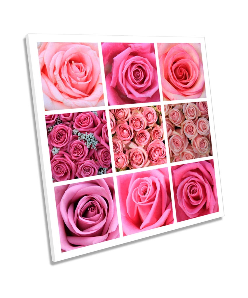 Rose Flower Floral Collage