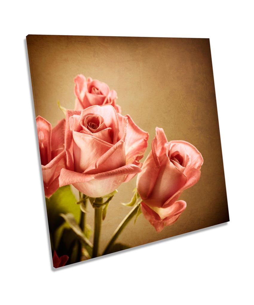 Rose Floral Flower Vintage Love