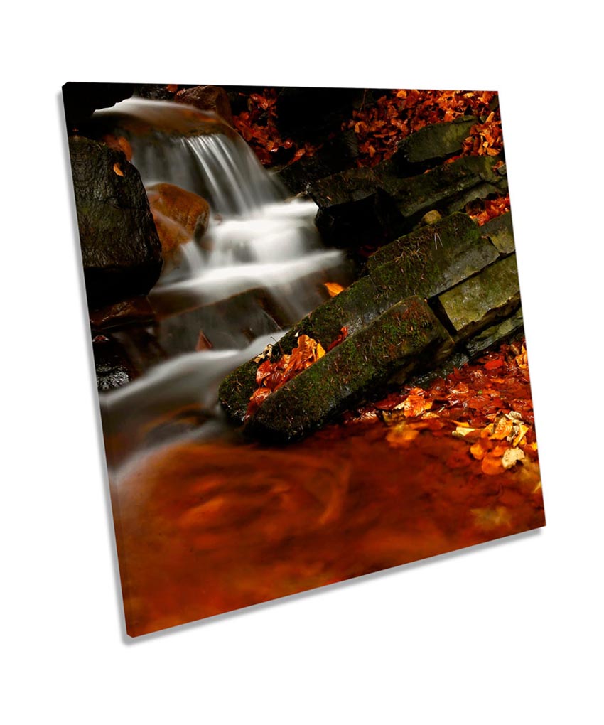 Autumn Stream Forest Landscapes
