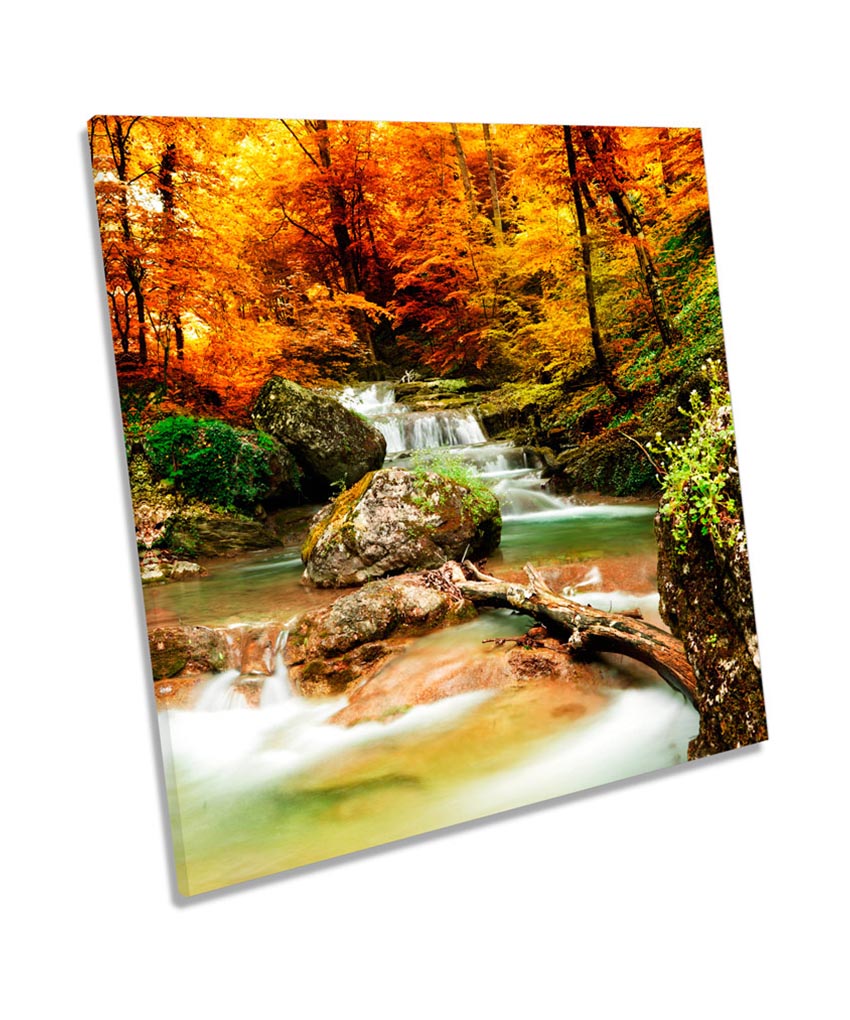 Autumn Forest Landscape River Waterfall