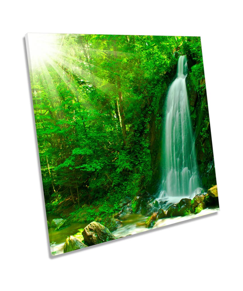 Waterfall Tropical Forest Landscape