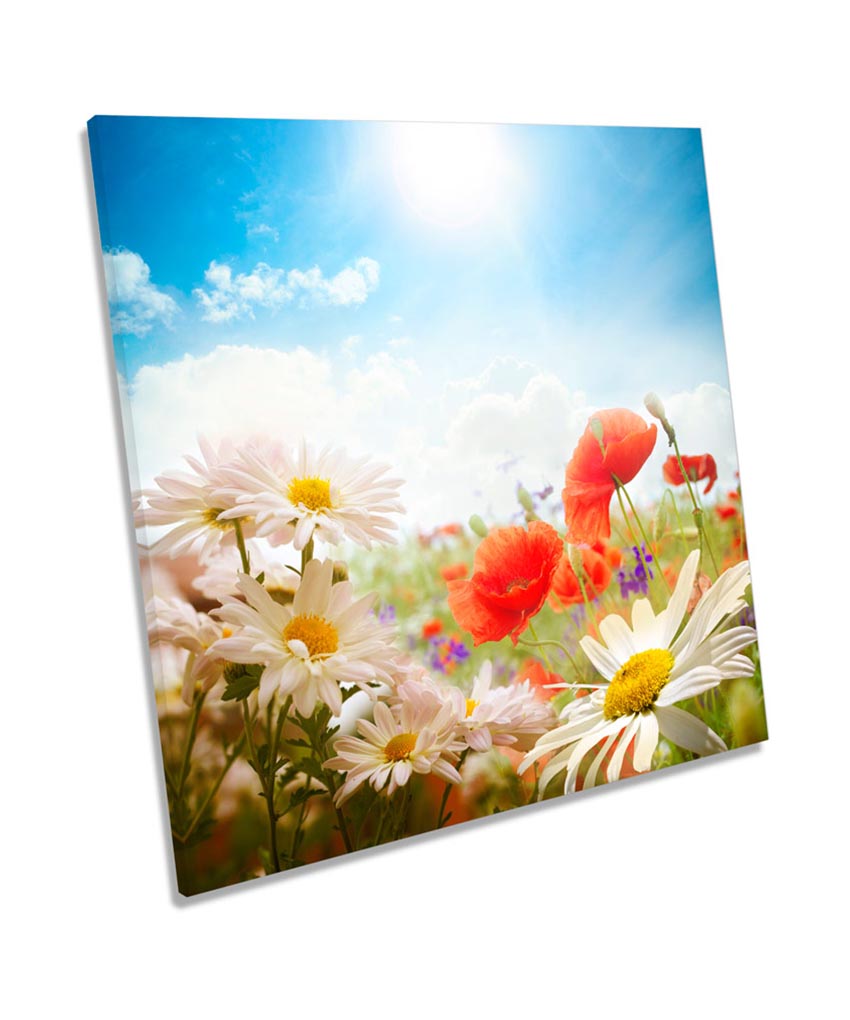Field of Daisies Floral Flower
