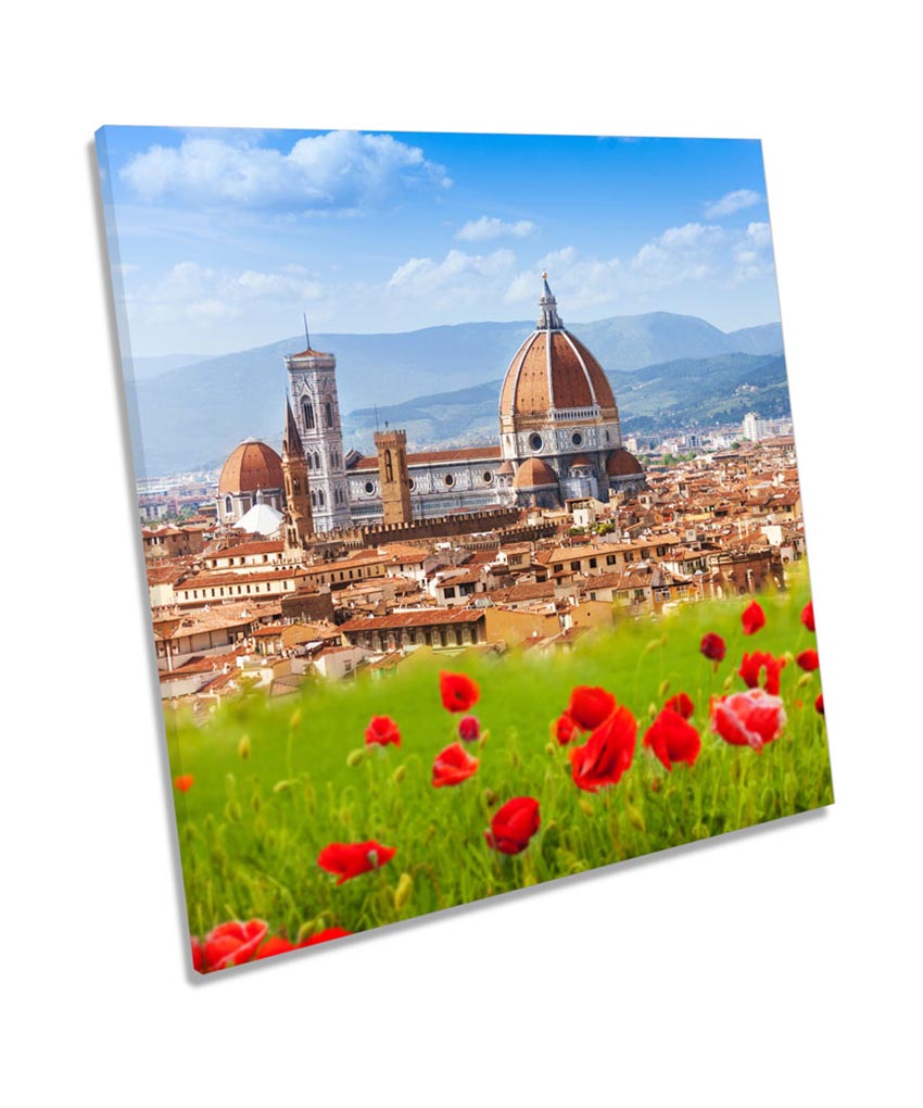 Florence Italy Poppies City