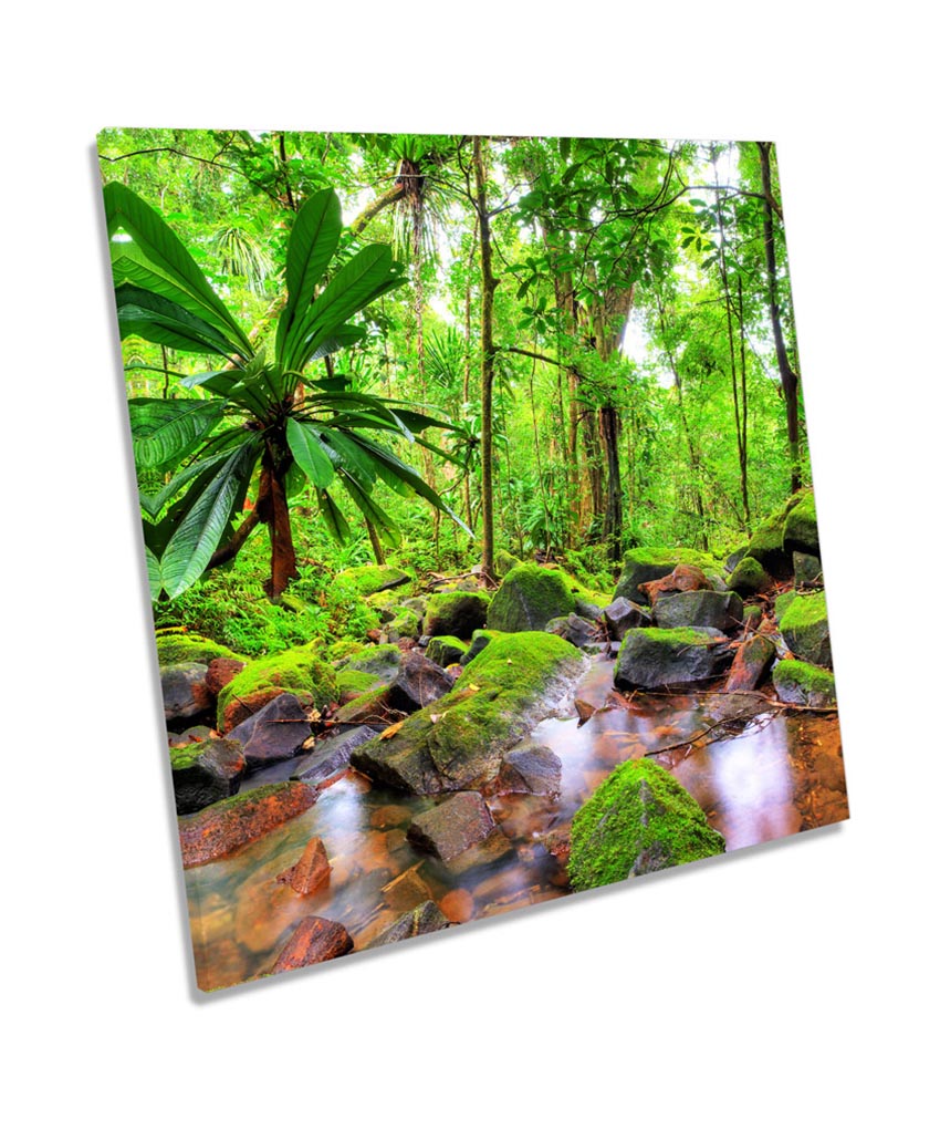 Jungle Tropical Landscape