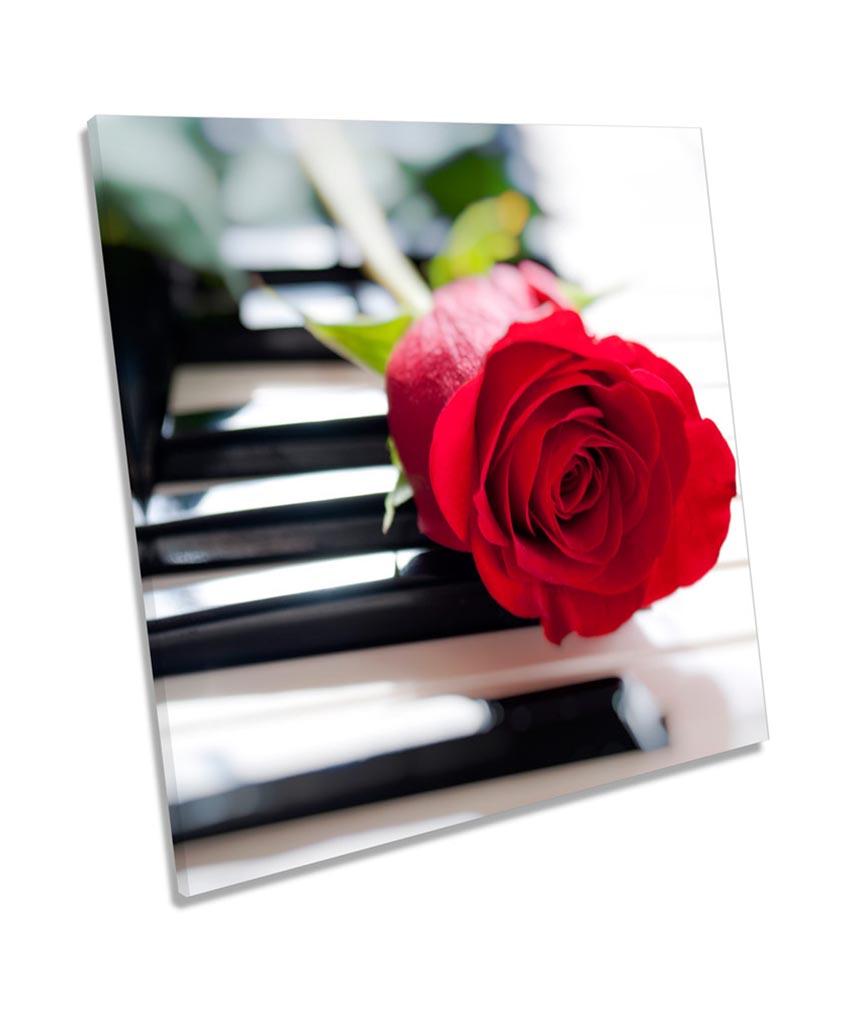 Rose Flower Music Piano Floral