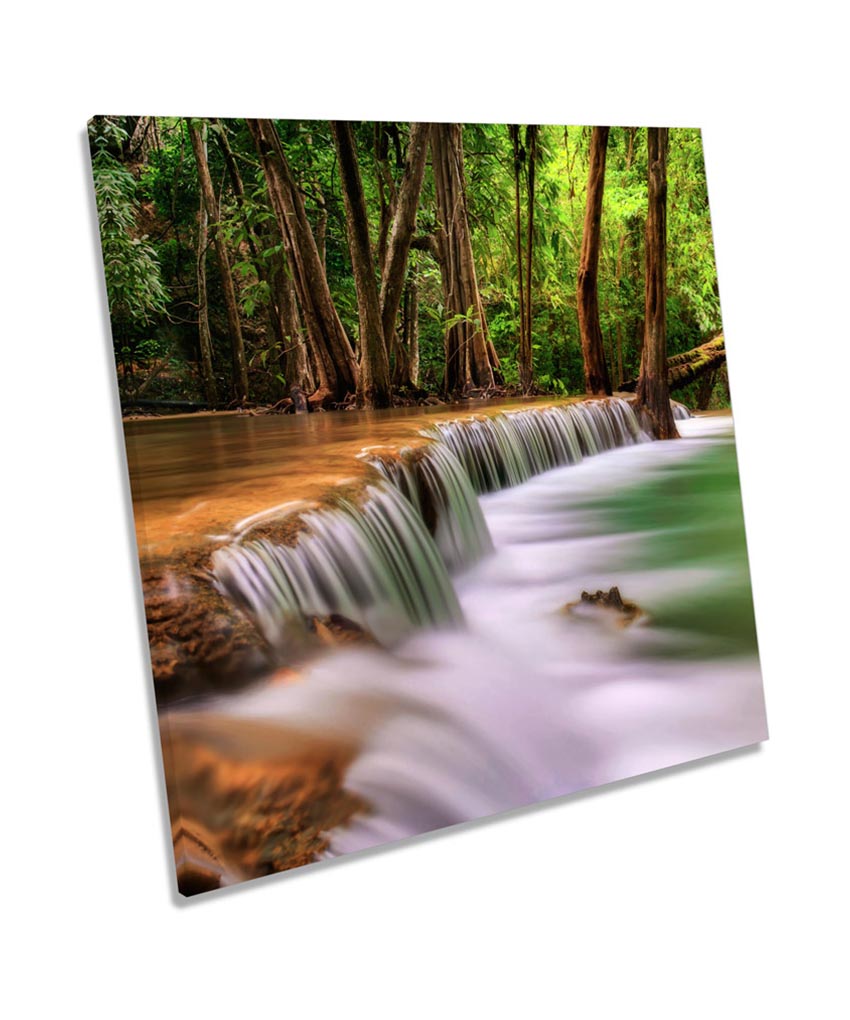 Forest Landscape Tropical River