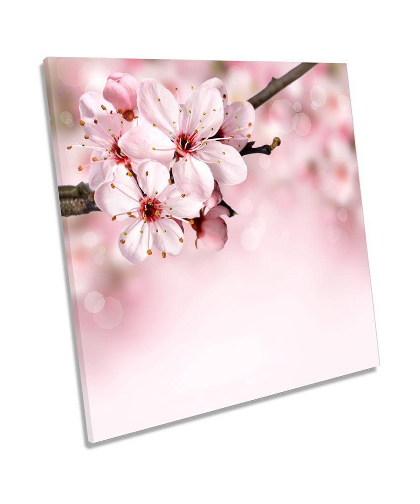 Cherry Plum Floral Flowers