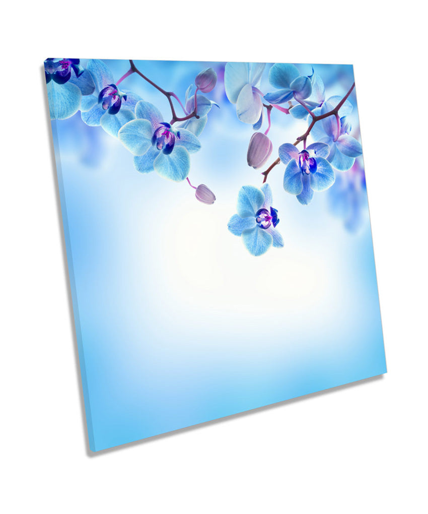 Blue Floral Flowers