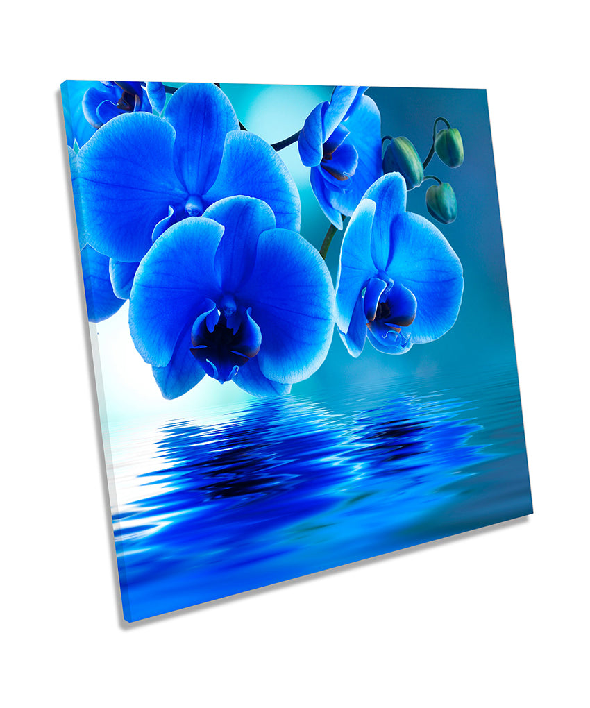 Blue Floral Flowers Water Ripple