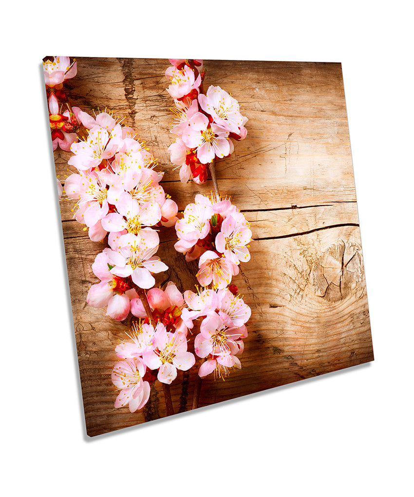 Pink Cherry Floral Blossom Flower