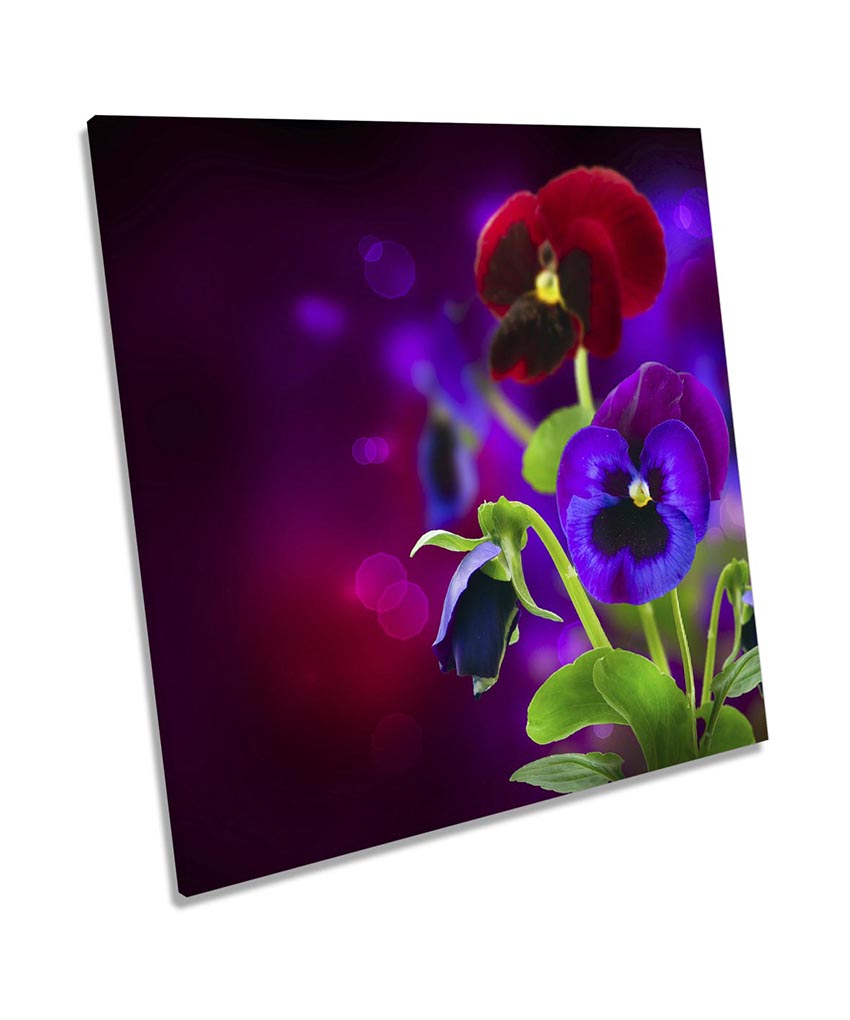 Purple Pansy Flowers Floral