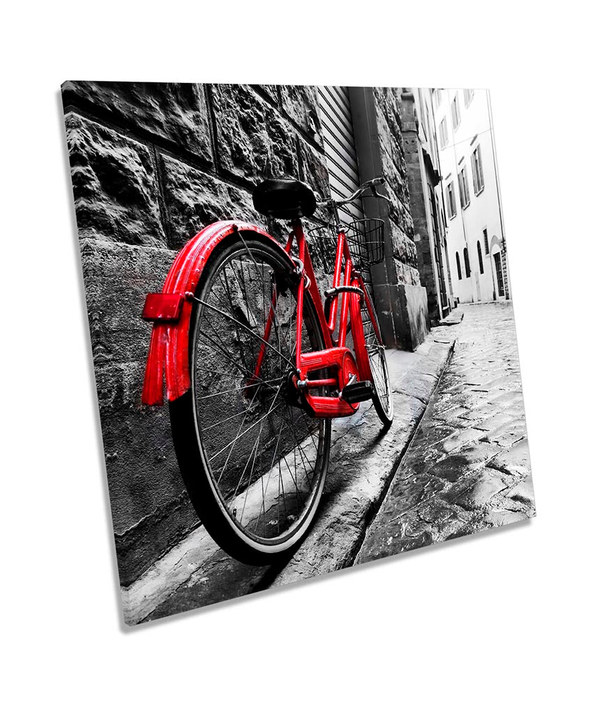 Red Retro Bicycle