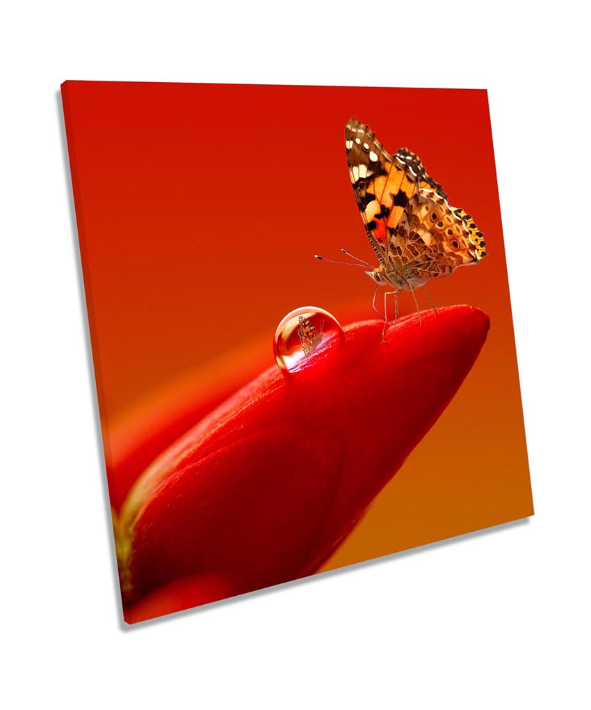 Butterfly Red Floral Flower