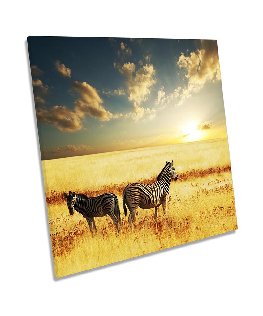 Safari Sunset Zebra