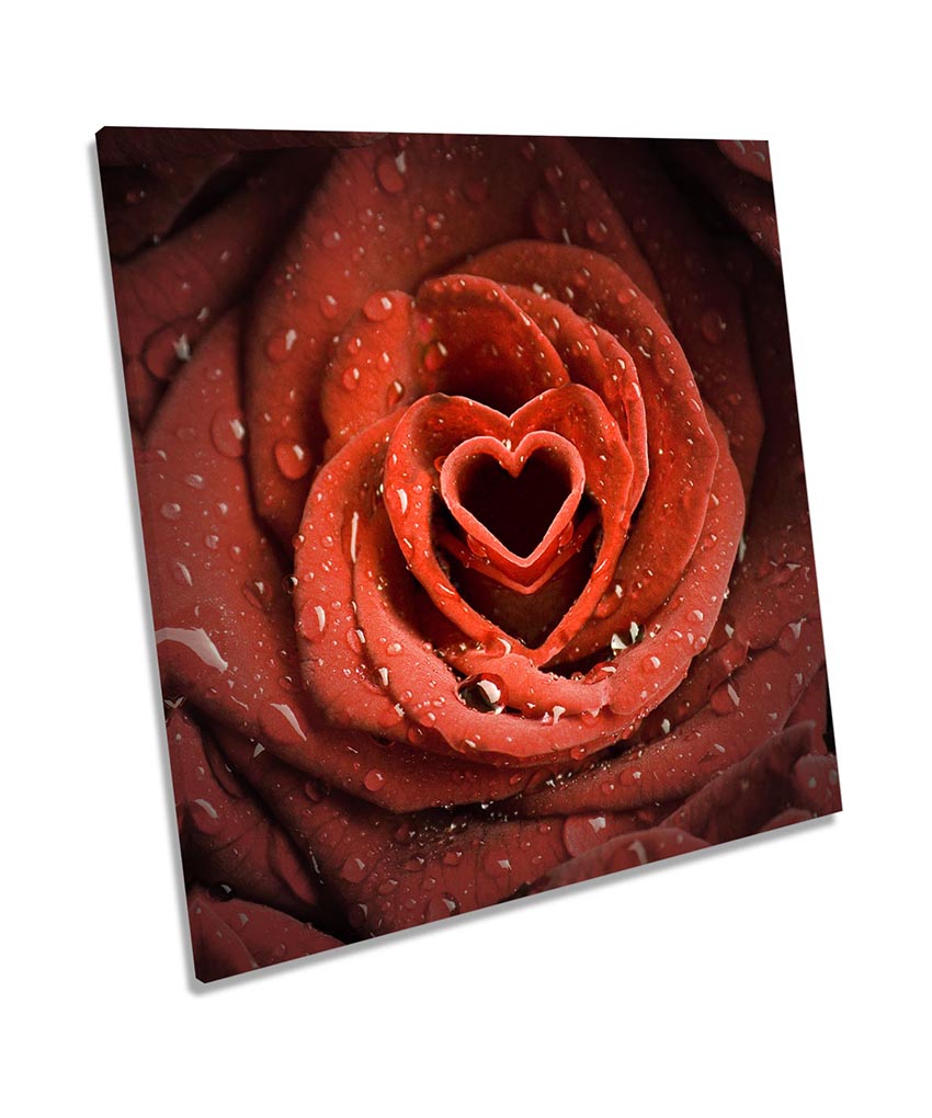 Red Rose Heart Love Floral