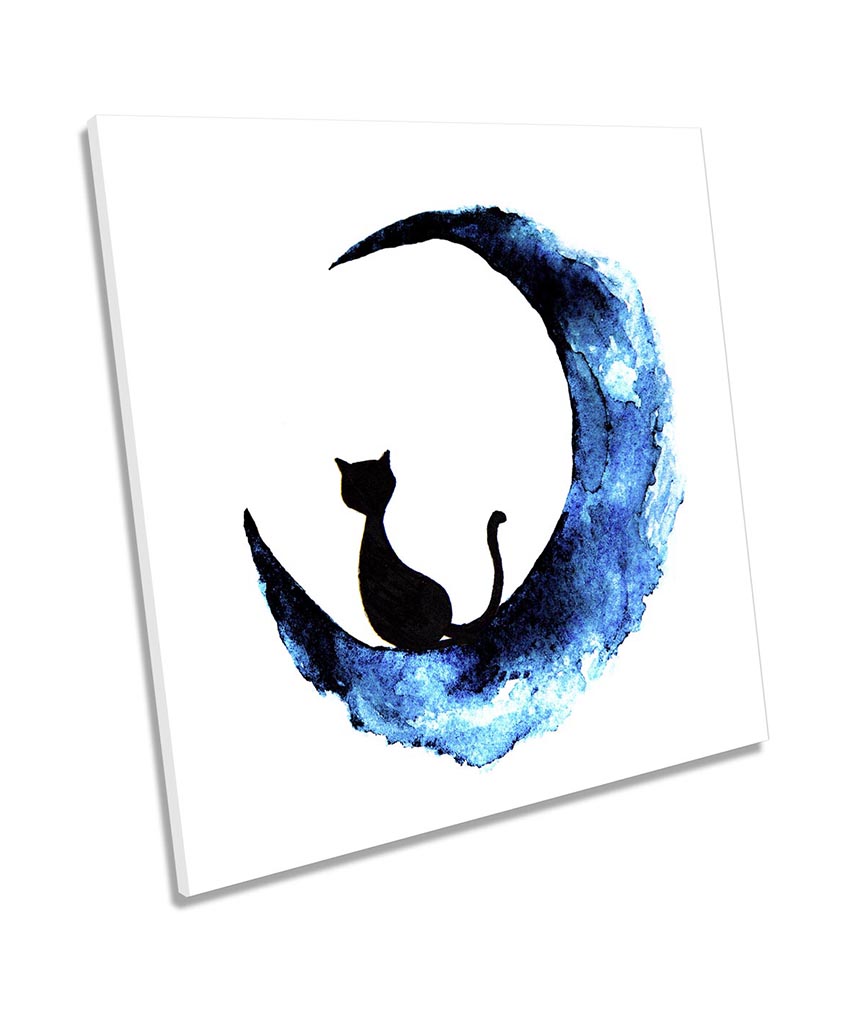 Black Cat Blue Moon