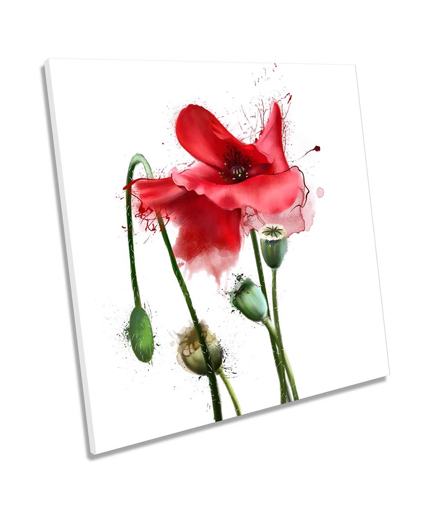 Red Poppy Flower Watercolour